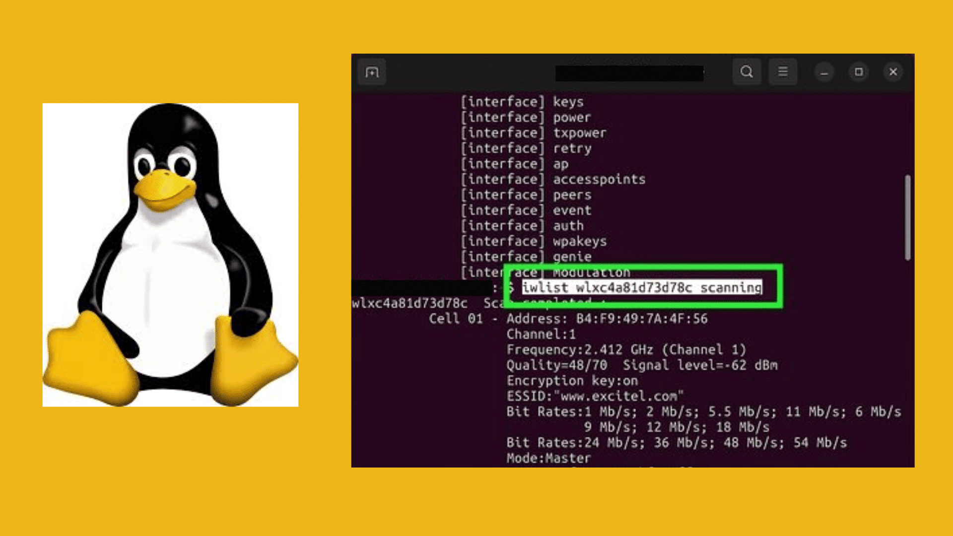 linux terminal showing network key with linux logo
