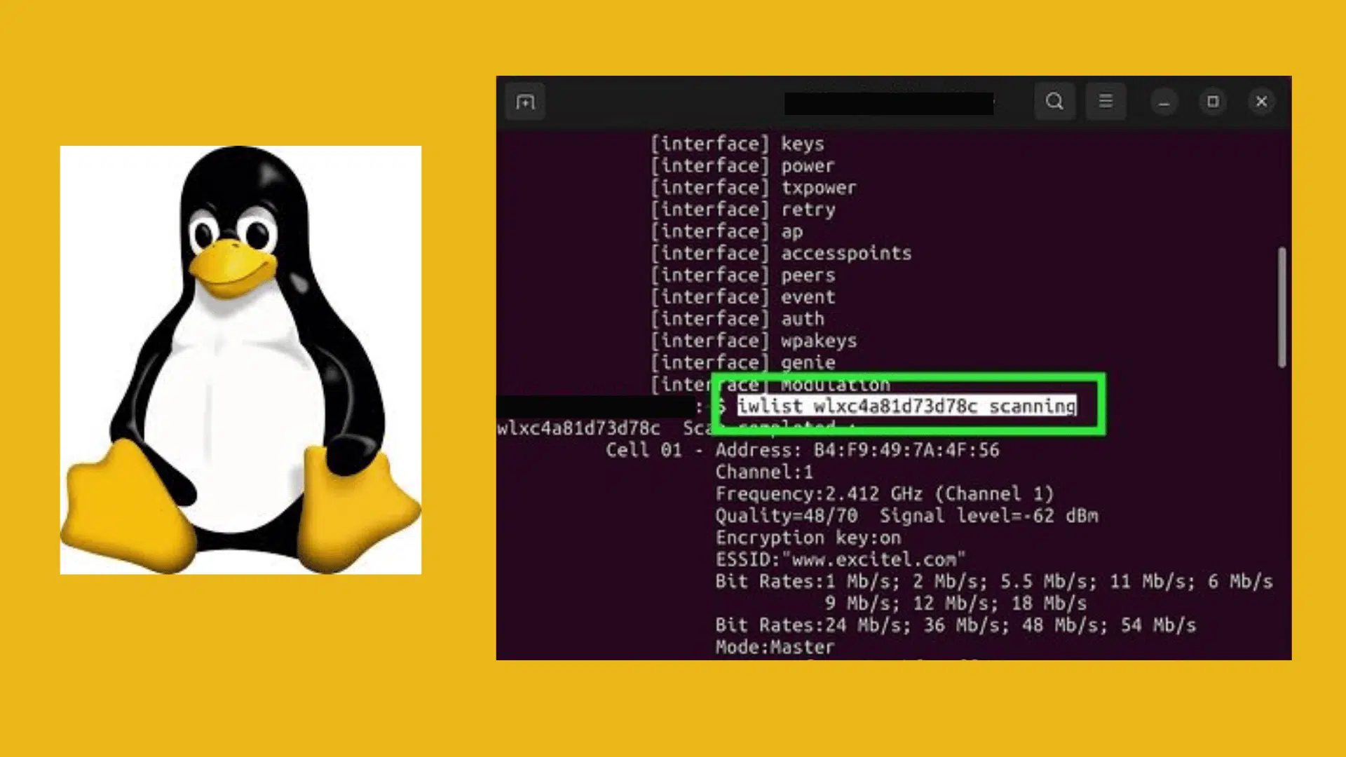 linux terminal showing network key with linux logo