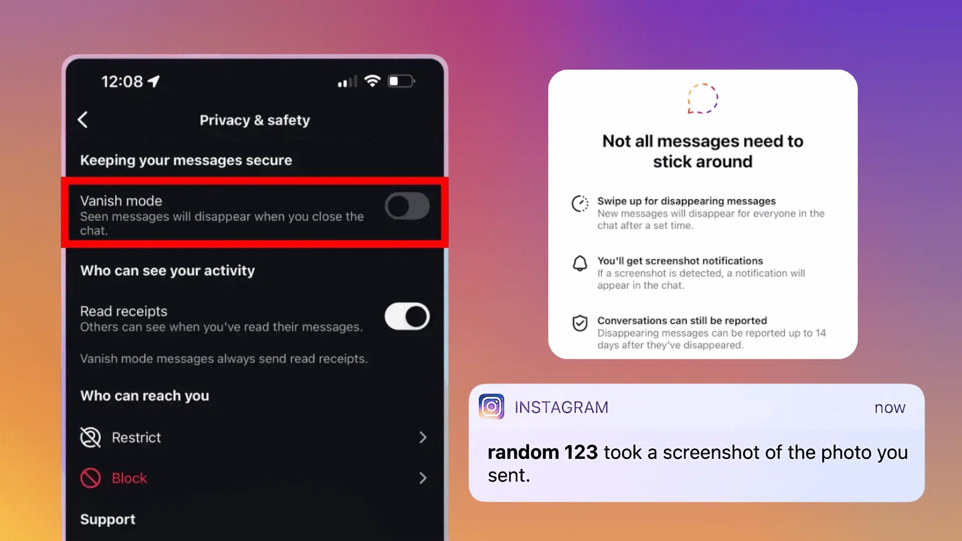 instagram chat screenshot showing a screenshot alert beside temporary media sent through a direct message icon